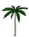 images/palm-tree-1.gif (3762 bytes)